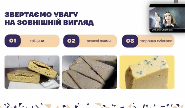 Як почати розуміти сир: для себе чи в роботі