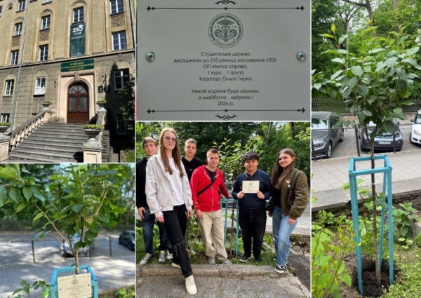Студентське дерево